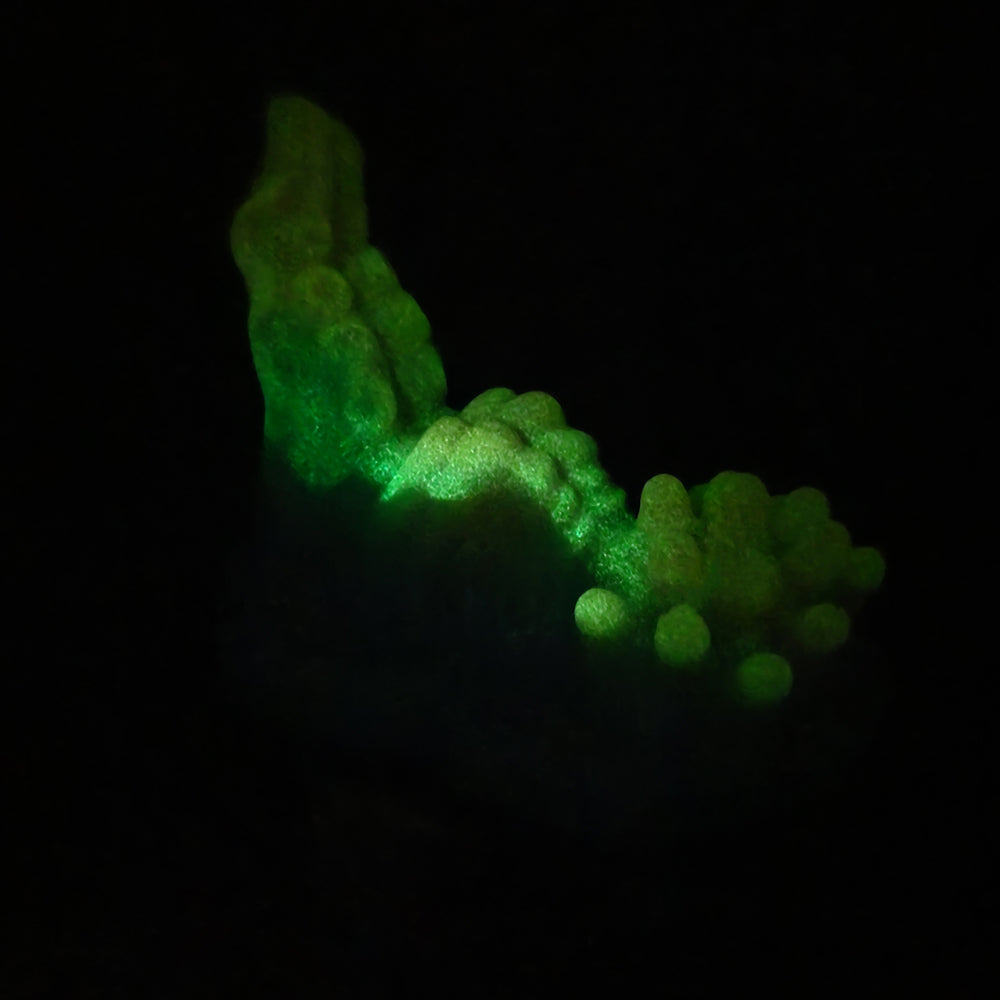 Godemichet sexuel lumineux en forme de dragon - Masturbateur vaginal anal à télécommande avec nœuds vibrants