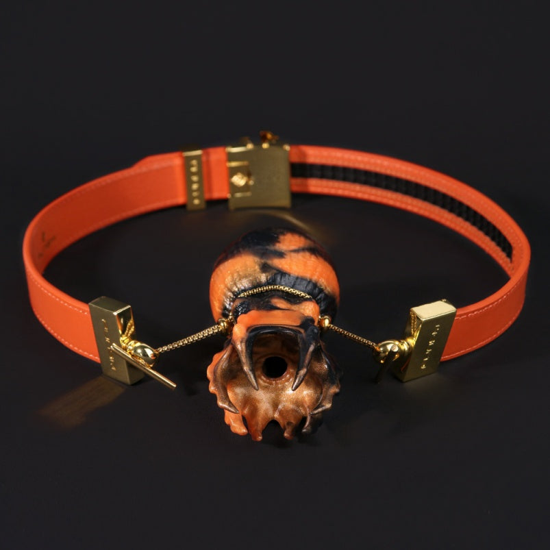 Bâillon-bouche, boule fantaisie, pieuvre, jouets sexuels coquins - Dominatrice BDSM, contrainte, encre orange