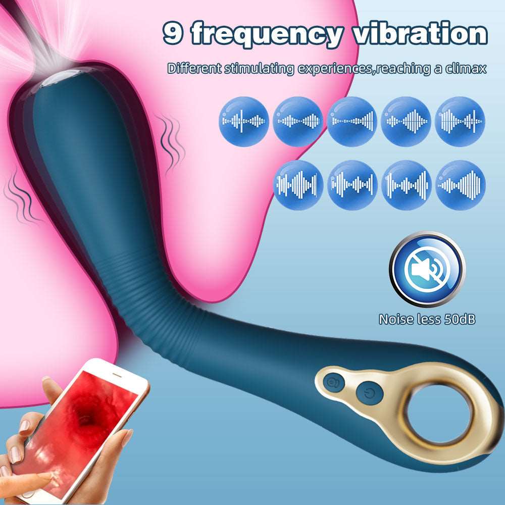 Endoskopischer vibrierender Dildo, Analspielzeug – 360° biegbarer Wärme-Endoskop-Vibrator, Masturbator für Frauen