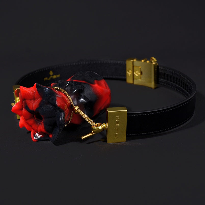 Bâillon-boule fantaisie en silicone noir et rouge - Bondage féminin BDSM Sex Toys