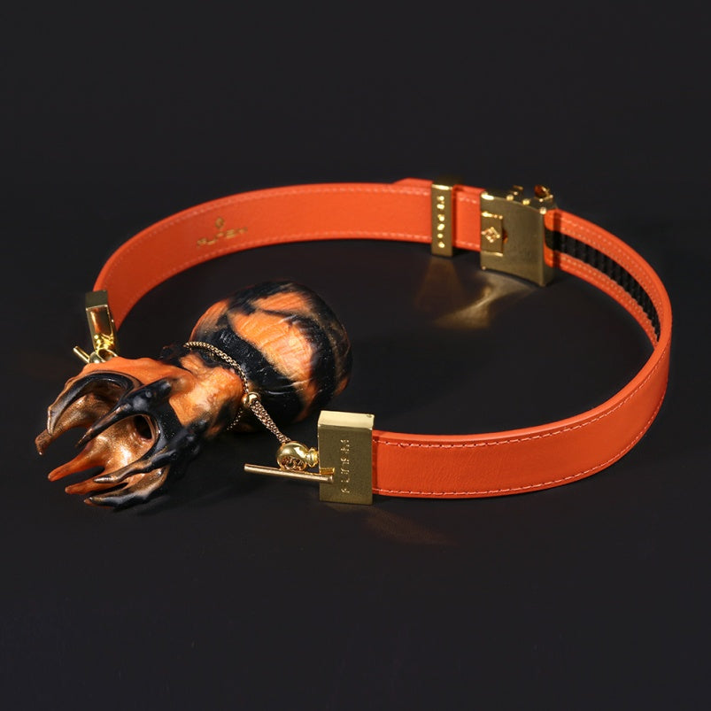 Bâillon-bouche, boule fantaisie, pieuvre, jouets sexuels coquins - Dominatrice BDSM, contrainte, encre orange