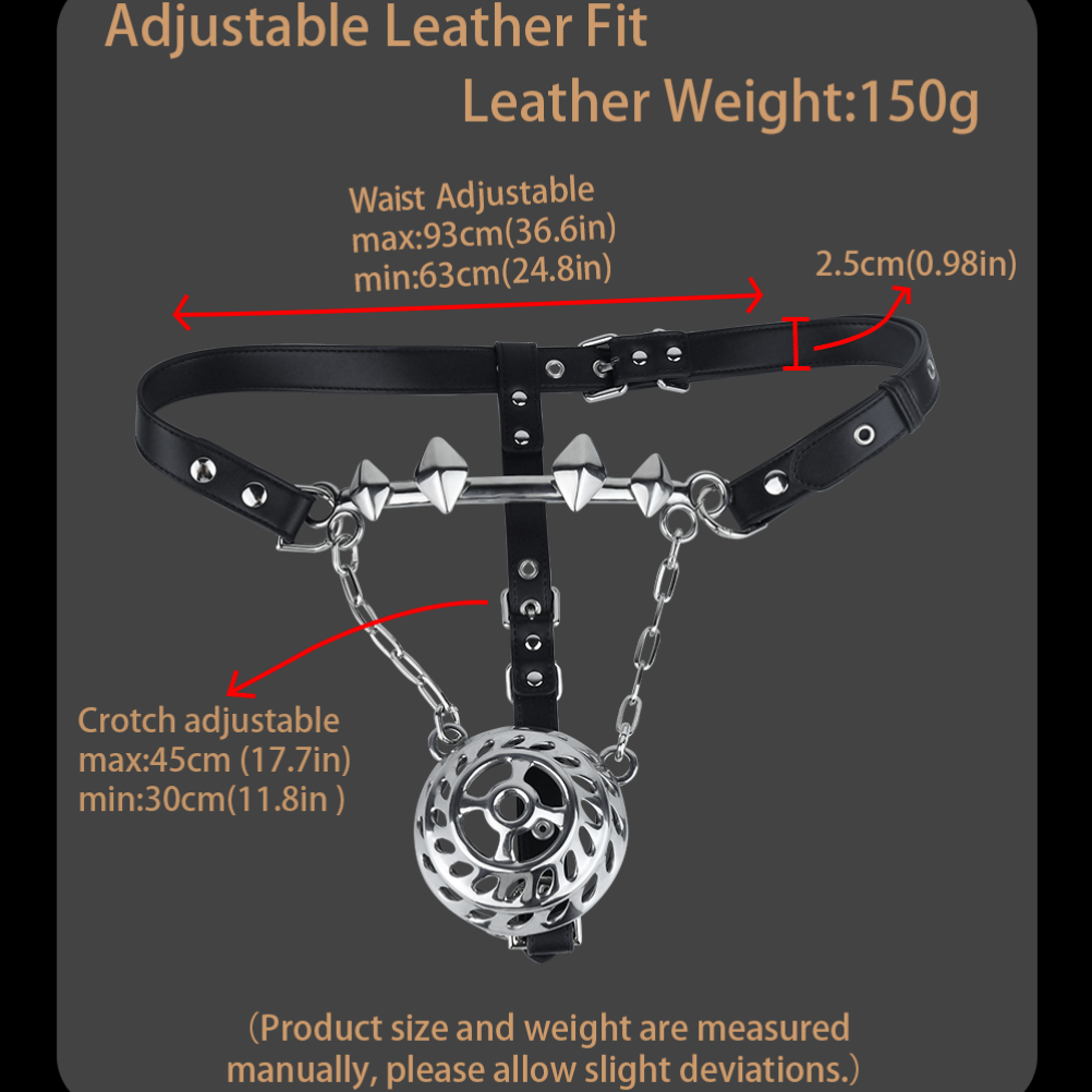 Stainless Steel Metal Dome Strap-on BDSM Toys – Bettie Bondage Male Tease Underwear