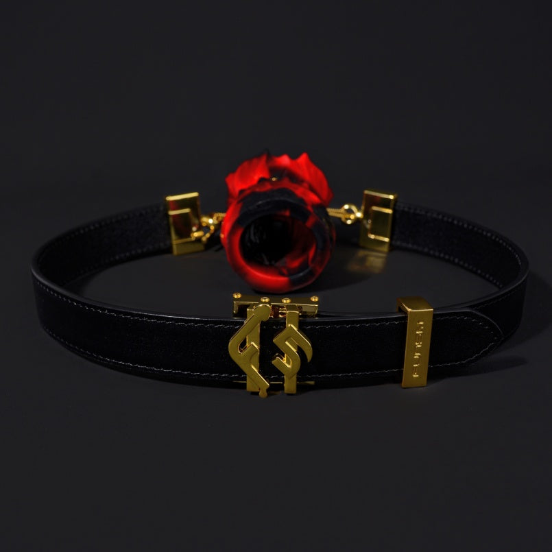Bâillon-boule fantaisie en silicone noir et rouge - Bondage féminin BDSM Sex Toys