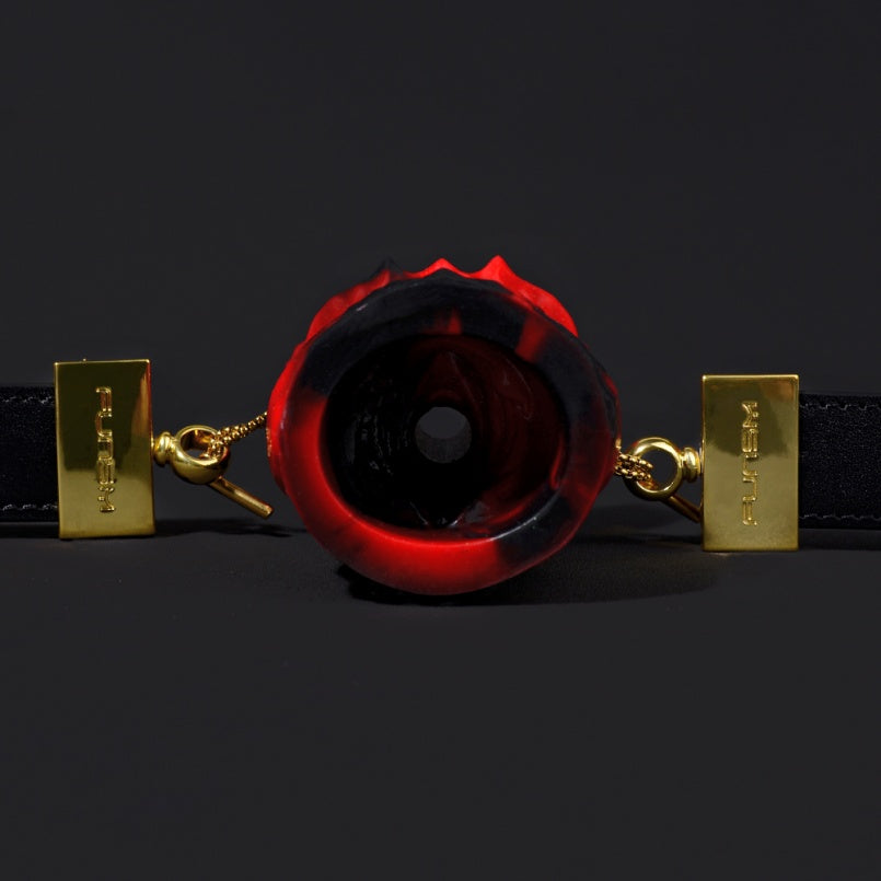 Bâillon-boule fantaisie en silicone noir et rouge - Bondage féminin BDSM Sex Toys