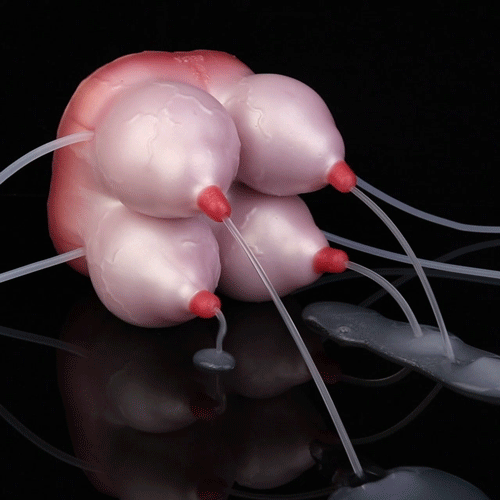Cow Milk Animal Pussies Fantasy Masturbator – 4-Channel Torso Sex Doll with Pumping Milk