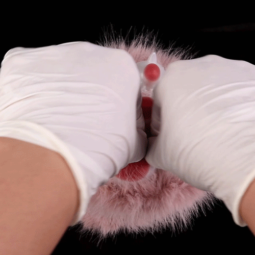 Fantasy Cat Paw Plush Silicone Pocket Pussy - Male Penis Massage Masturbation Toys