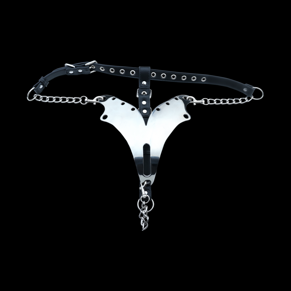 Female Strapon Stainless Steel Crotchless Panties - Couples BDSM Bettie Bondage Set