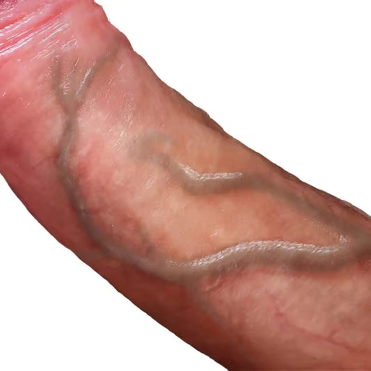 Realistic Dildo Butt Plug - Remote Control Vibrating Dildo Vagina Anal Stimulator