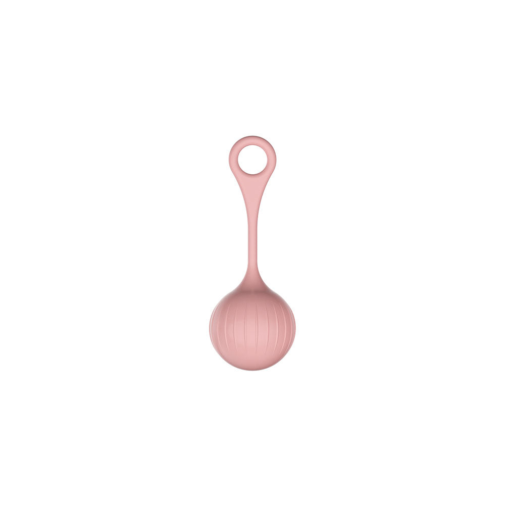 Kegal Ball Vibrant Panty Egg Vibromasseur - Masseur de prostate vaginal à boule anale extensible