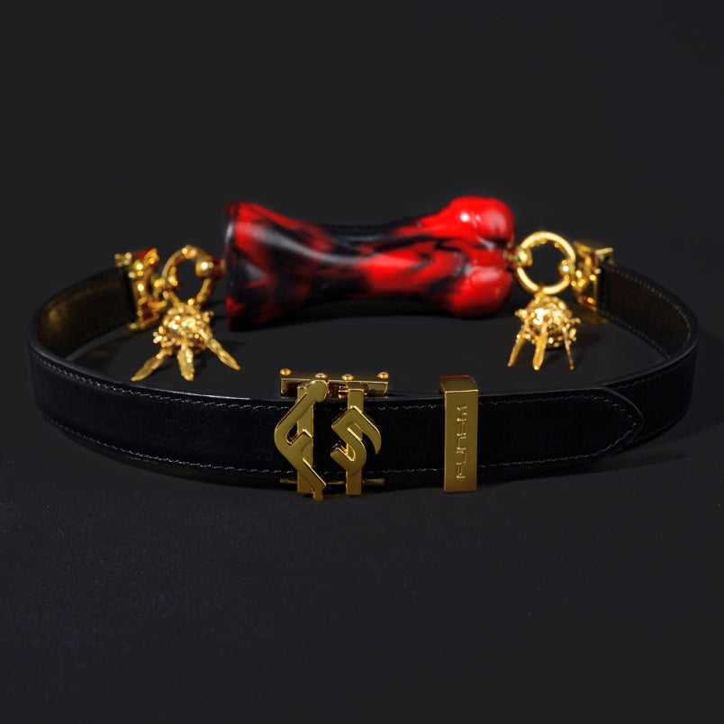 Ensemble de bondage bâillon-boule en forme d'os rouge et noir – Silicone de qualité supérieure pour jeux BDSM coquins
