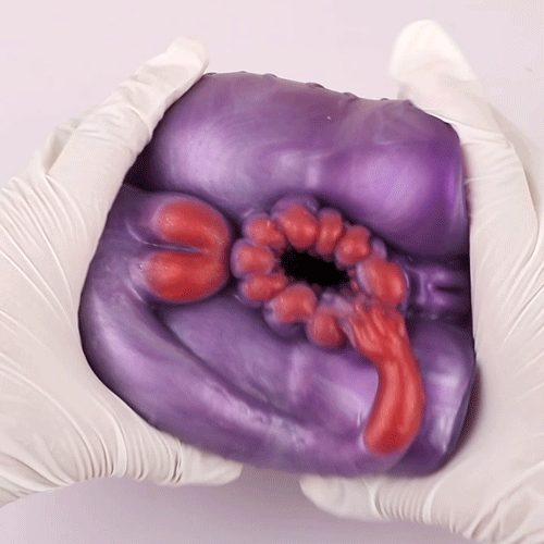 Fantasy Monster Silicone Ass Pocket Pussy - Male Penis Insertion Masturbation Massager
