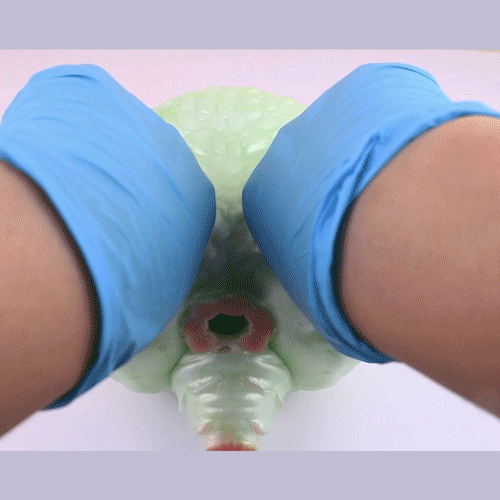 Monster Spirit Beast Fantasy Ass Pocket Pussy - Single-Channel Silicone Male Masturbation Stroker