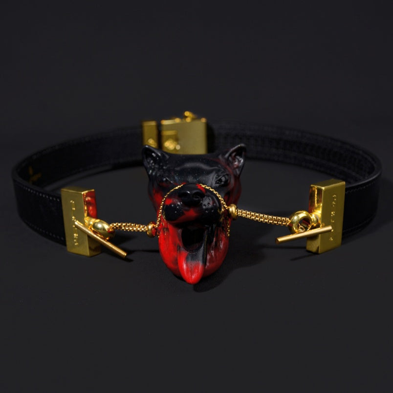 Akainu Vertical Ball Gag Kinky Bondage Set - Bad Dragon Oral Restraint Oral Sex Toys for Women Men