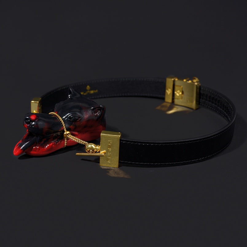 Akainu Vertical Ball Gag Kinky Bondage Set - Bad Dragon Oral Restraint Oral Sex Toys for Women Men