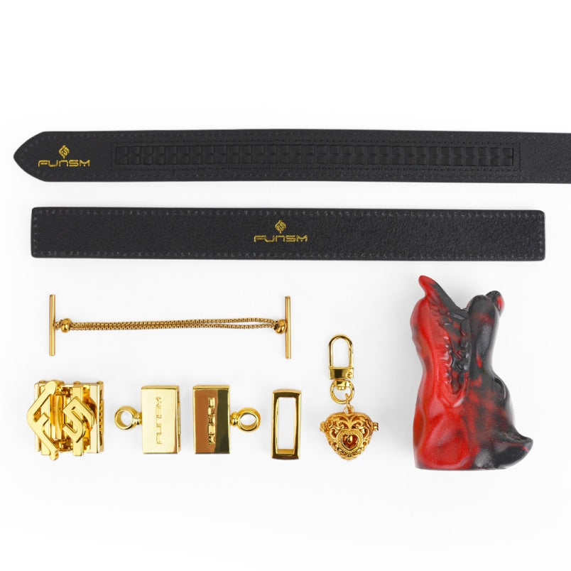 Akainu Vertical Ball Gag Kinky Bondage Set - Bad Dragon Oral Restraint Oral Sex Toys for Women Men