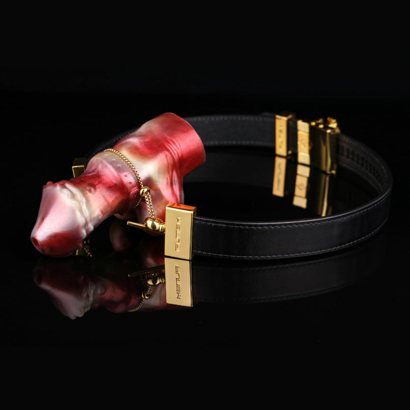Vertical Dildo Gag Bondage Set - Wearable Ballgag Lustrous BDSM Sex Game Play