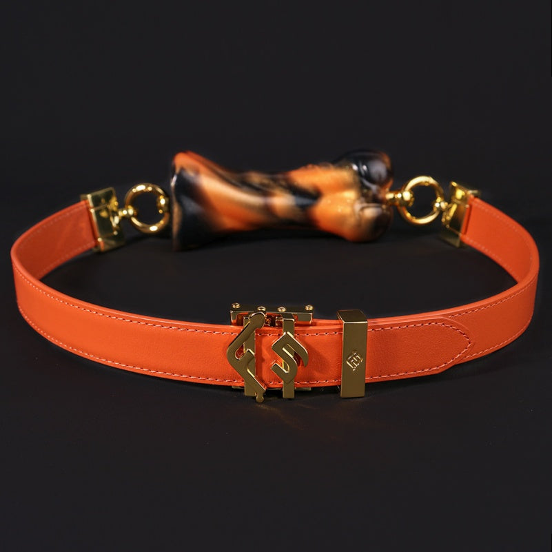 Ensemble de bâillons de bondage en os orange encre - Jouets sexuels coquins BDSM oraux fantastiques pour femmes et hommes