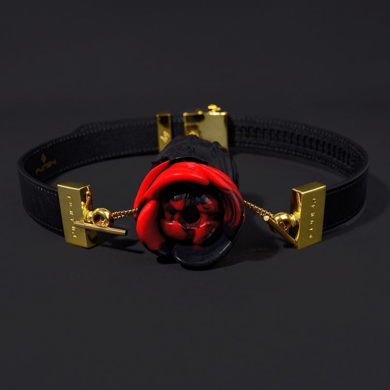 Bâillon-bouche Yukina Fantasy - Bâillon-boule en silicone rose rouge et noir, cuir, jouets sexuels BDSM coquins