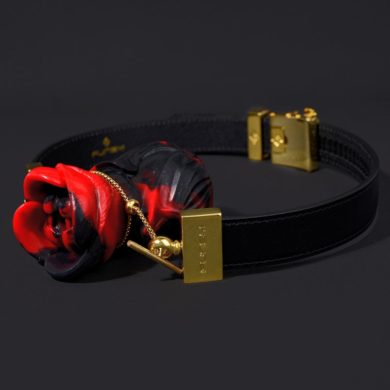 Bâillon-bouche Yukina Fantasy - Bâillon-boule en silicone rose rouge et noir, cuir, jouets sexuels BDSM coquins