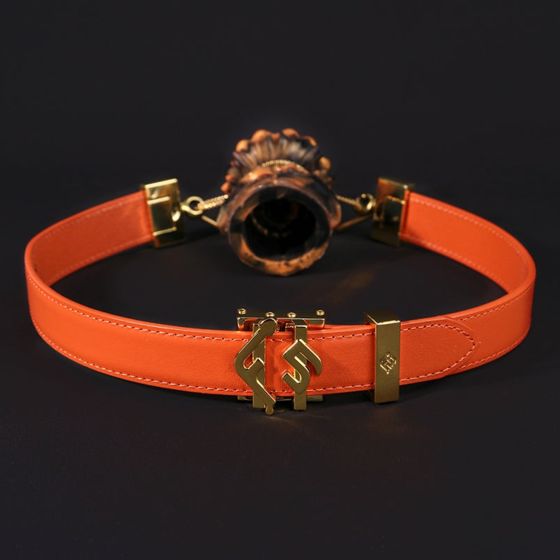 Bâillon buccal Rose Charming, jouets BDSM – Contraintes extrêmes, sexualité féminine érotique et perverse
