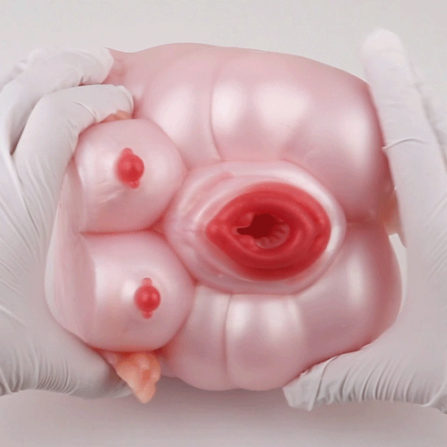 Pink Silicone Penis Massaging Fantasy Animal Pocket Pussy - Realistic Sex Doll Blowjob Toy