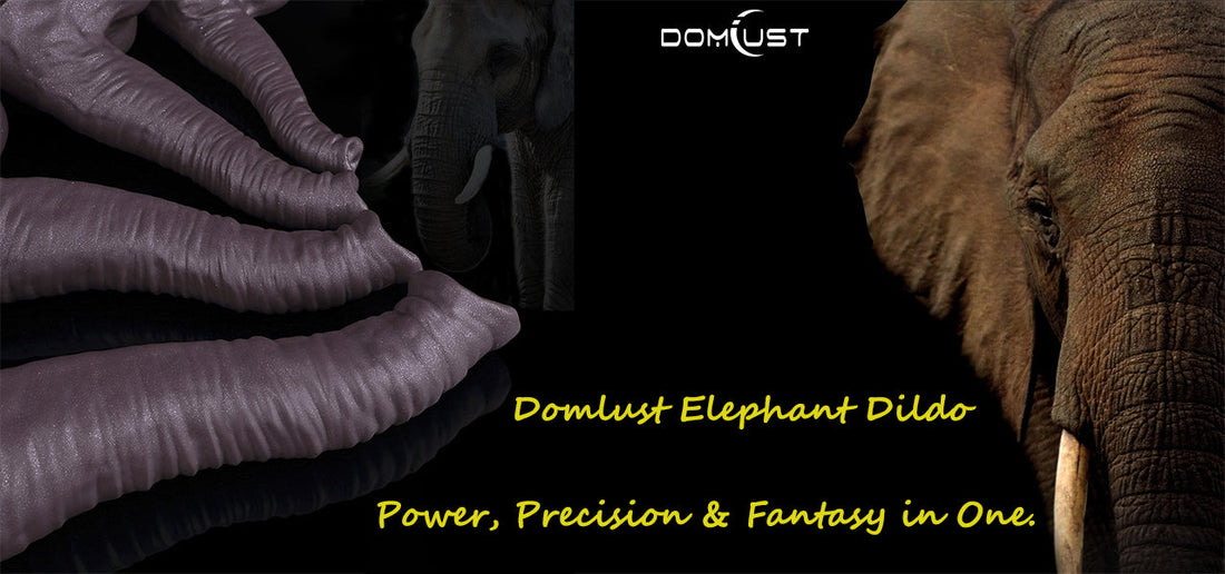 Best Huge Anal Dildo 2025: The Ultimate Guide to Deep, Full & Intense Anal Play (Reviewed & Compared)