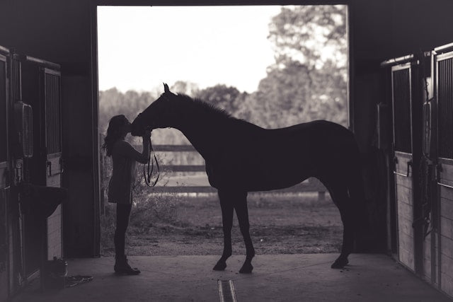 Best Horse Pussy Toys of 2026 — Full Review & Buyer's Guide (Silicone, Torso, Oral & Pocket)
