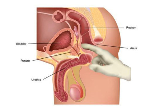 Prostate Fingering Guide: How to Find & Stimulate the P-Spot (2026)