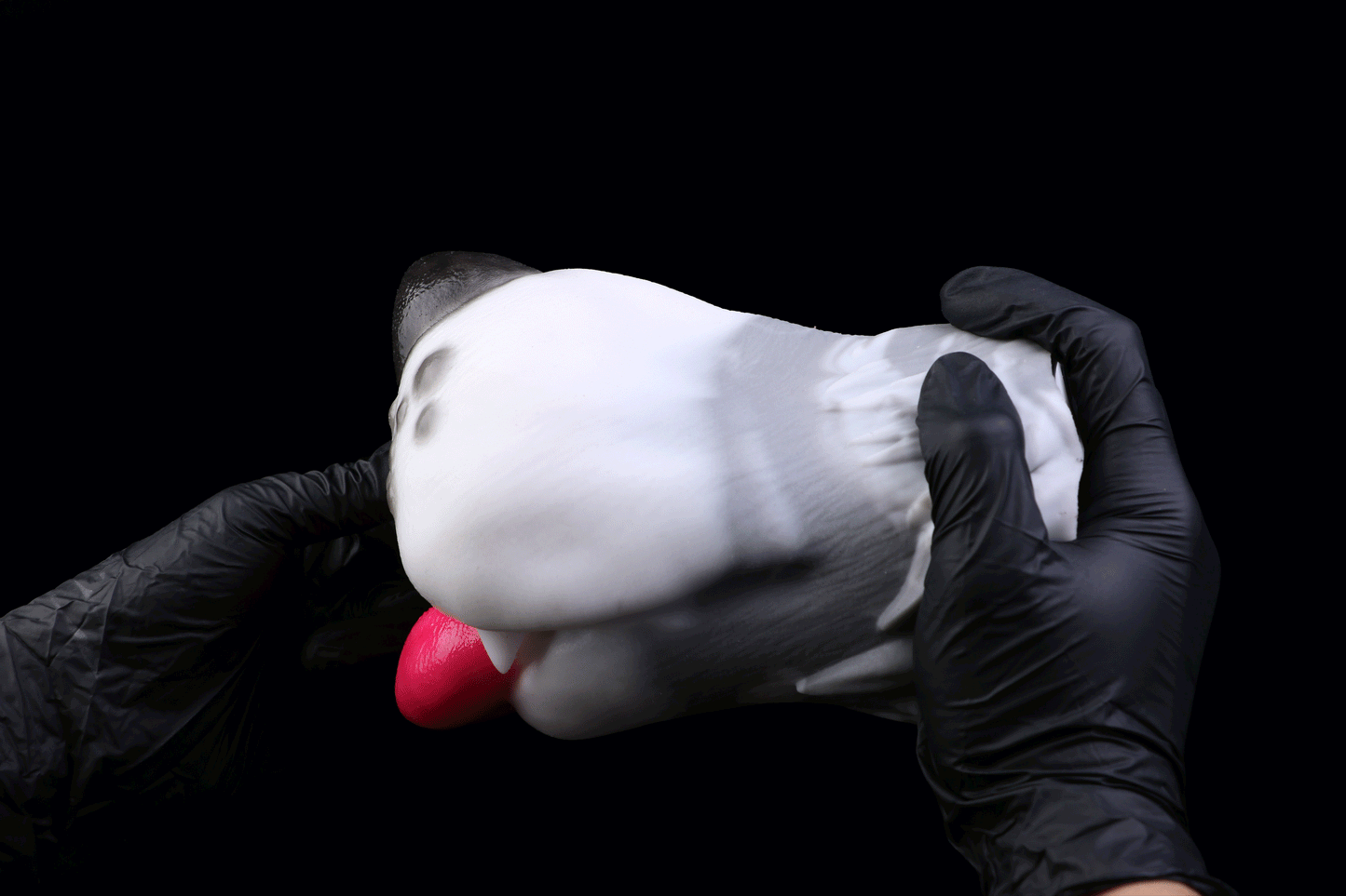 Dalmatian Mouth Pocket Pussy — Platinum Silicone Fantasy Dog Mouth Masturbator with Pink Tongue & Single-Channel Textured Design