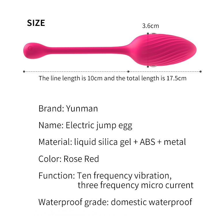Remote Control Panty Egg Vibrator - E-stim Shocking Vibrating Butt Plug - Domlust