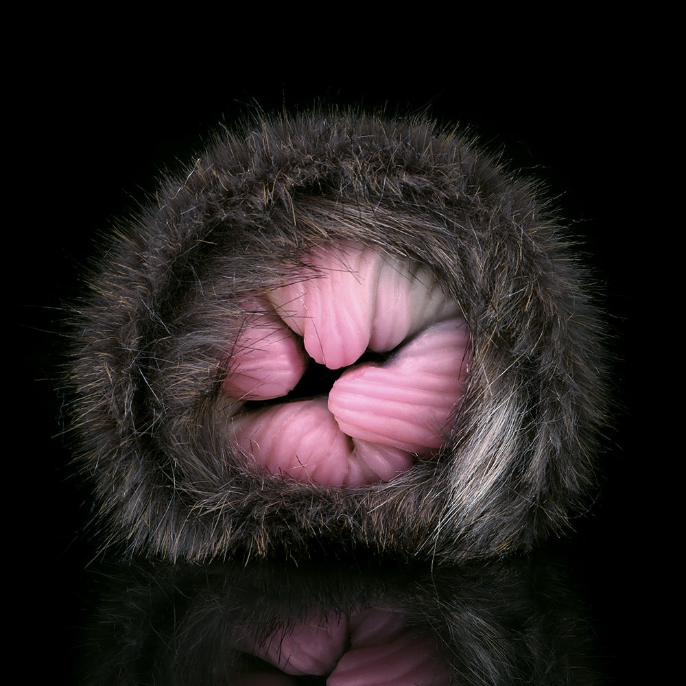 Black Cat Pussy Masturbaton Cup Sex Toy for Men - Furry Animal Vagina Domlust Black Cat Pussy Masturbaton Cup Sex Toy for Men - Furry Animal Vagina Domlust
