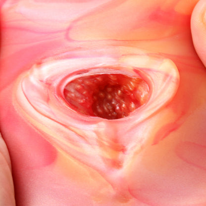 Masturbateur masculin réaliste pour chatte vaginale - Jouet sexuel de masturbation en silicone souple pour homme