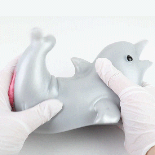 Mini-poupée sexuelle en silicone dauphin – Chatte de poche réaliste et mignonne pour la masturbation masculine