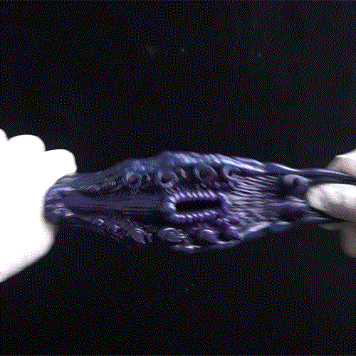Alien Pussy Xeno Creature – Dark Alien Sleeve made of Platinum Silicone for Sci-Fi Fantasies