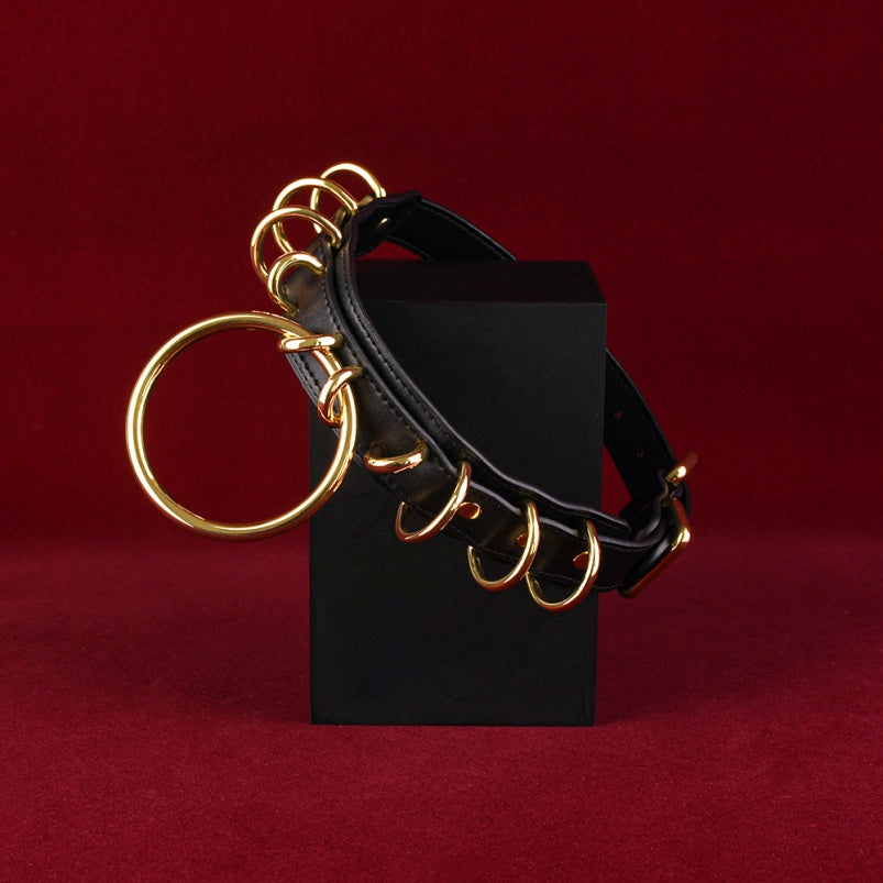 Fantasy Metalen Ring Halsband Bondage Kinky Set - Extreme Sex BDSM Speeltje for Training et Dominantie