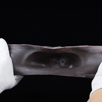 Masque de renard en silicone enchanteur pour bal masqué – Cagoule souple pour BDSM et jeux de rôle érotiques