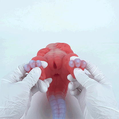 Poupée sexuelle réaliste en silicone représentant un torse de dinosaure, inspirée des animes fantastiques – Jouet de masturbation masculine