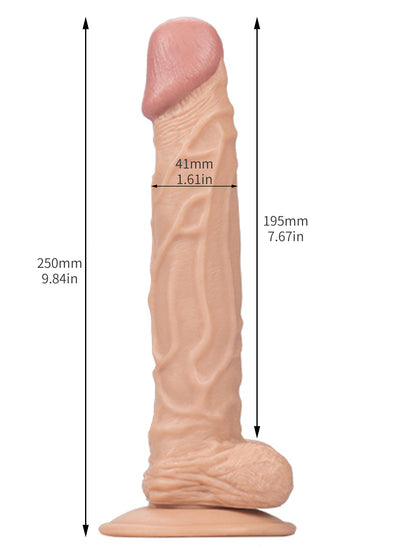 Gode ​​réaliste de 10 pouces de Long-jouets sexuels réalistes de petits testicules de gland de veine pour les femmes