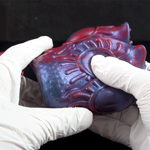 Monster Pocket Pussy & Butt Plug – 2-in-1 Fantasy Silicone Male Sex Toy