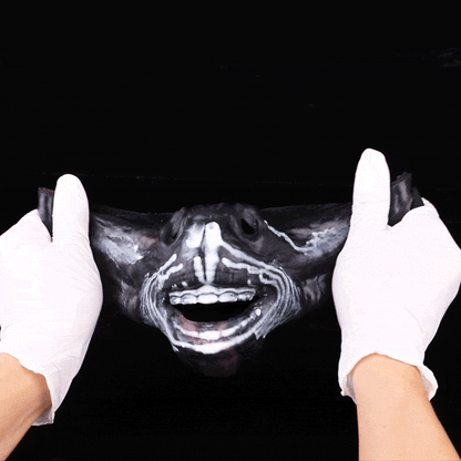 Skull Fantasy Strap-On BDSM Masks - Adjustable Silicone Sex Toys