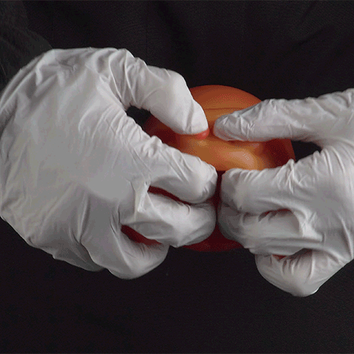 Realistic Hermit Crab Silicone Pocket Pussy-Discrete Fantasy Sex Doll for Mind-Blowing Blowjobs