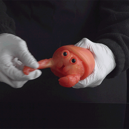 Realistic Hermit Crab Silicone Pocket Pussy-Discrete Fantasy Sex Doll for Mind-Blowing Blowjobs