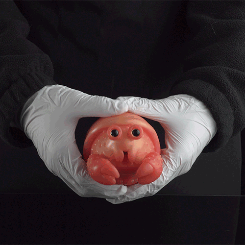 Realistic Hermit Crab Silicone Pocket Pussy-Discrete Fantasy Sex Doll for Mind-Blowing Blowjobs