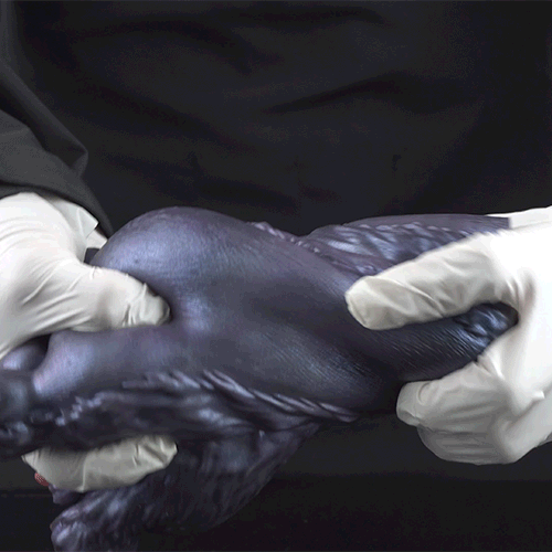 Fantasy Demon Double-Foot Silicone Pocket Pussy – Hidden Channel Masturbator with Furry Texture & Claws