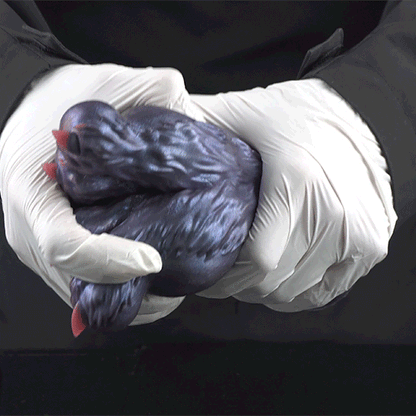 Fantasy Demon Double-Foot Silicone Pocket Pussy – Hidden Channel Masturbator with Furry Texture & Claws