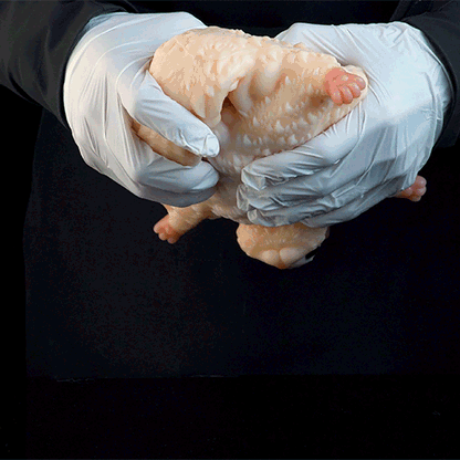 Sugar Glider Fantasy Animal Pocket Pussy | Hands-Free Suction Silicone Stroker — Domlust