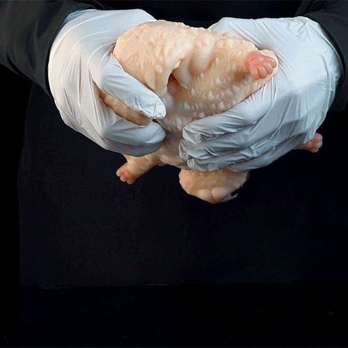 Realistic Flying Squirrel Silicone Sex Doll – Fantasy Animal Pocket Pussy for Male Masturbation