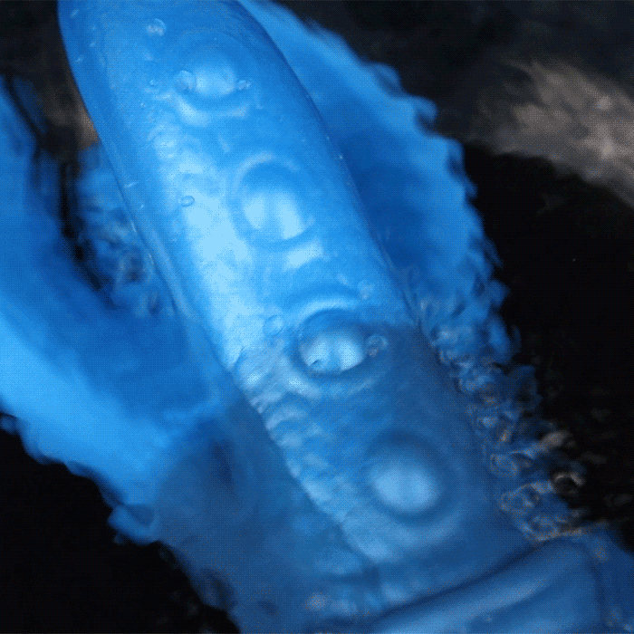 Fantasy Silicone Monster Tentacle Dildo – Strapon Anal & Vaginal Sex Toy for Women