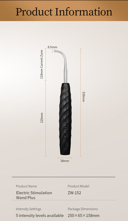 Roomfun Masseur de prostate à électrochocs – Baguette d'électrostimulation à 5 niveaux avec 4 têtes interchangeables