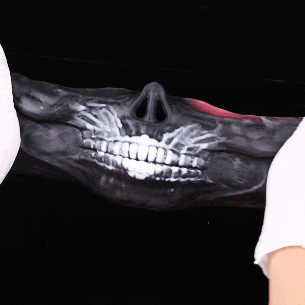 Strap-On Fantasy Silicone BDSM Masks - Couples Sex Roleplay and Teasing Toys